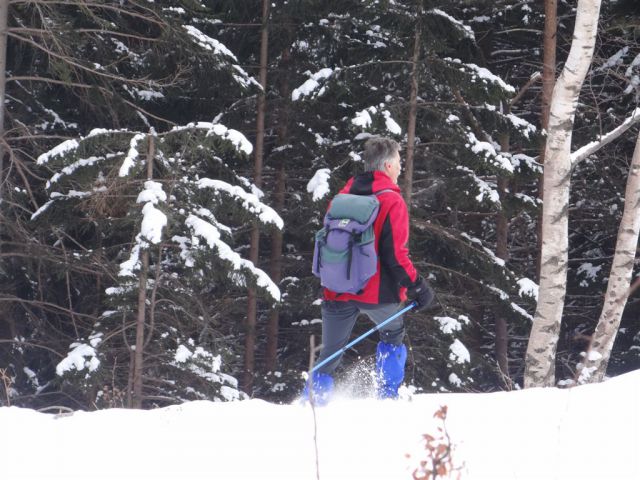ŽEKOVEC - GOLTE, 1573 m, 2013 - foto