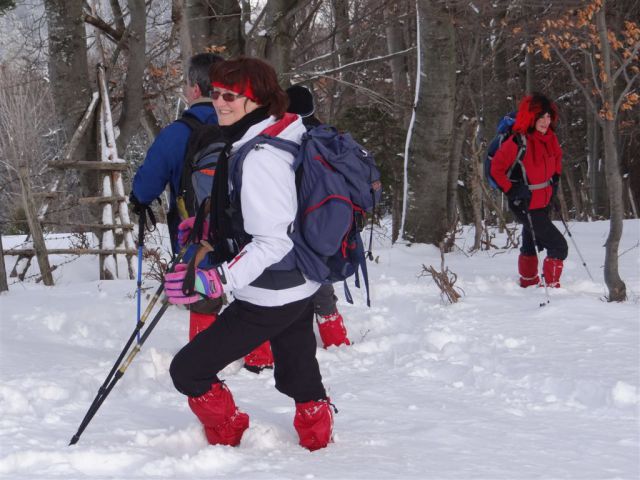 ŽEKOVEC - GOLTE, 1573 m, 2013 - foto