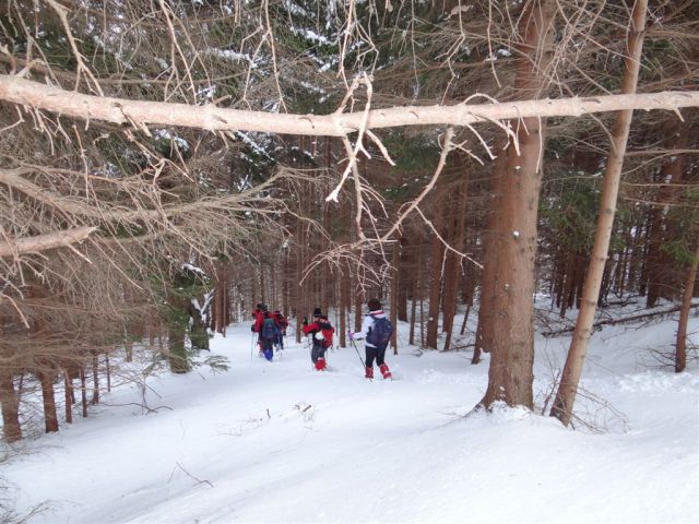ŽEKOVEC - GOLTE, 1573 m, 2013 - foto
