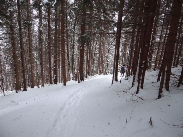 ŽEKOVEC - GOLTE, 1573 m, 2013 - foto