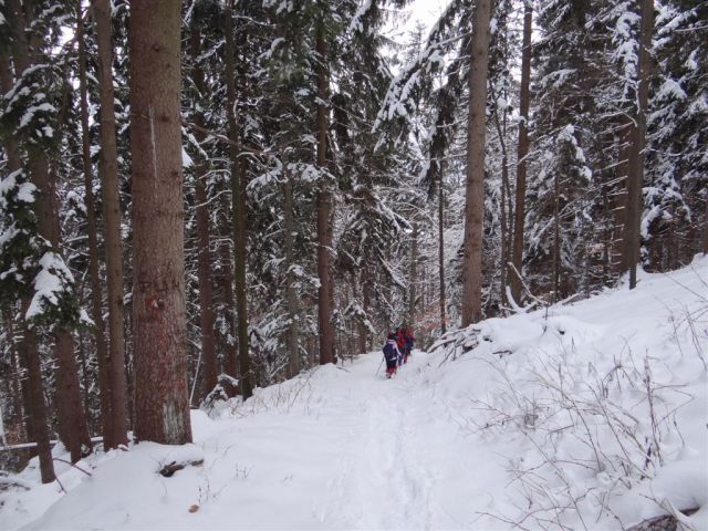 ŽEKOVEC - GOLTE, 1573 m, 2013 - foto