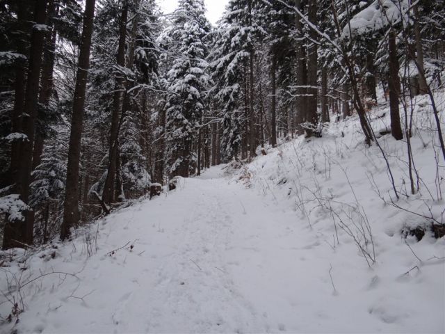 ŽEKOVEC - GOLTE, 1573 m, 2013 - foto