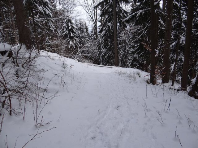 ŽEKOVEC - GOLTE, 1573 m, 2013 - foto
