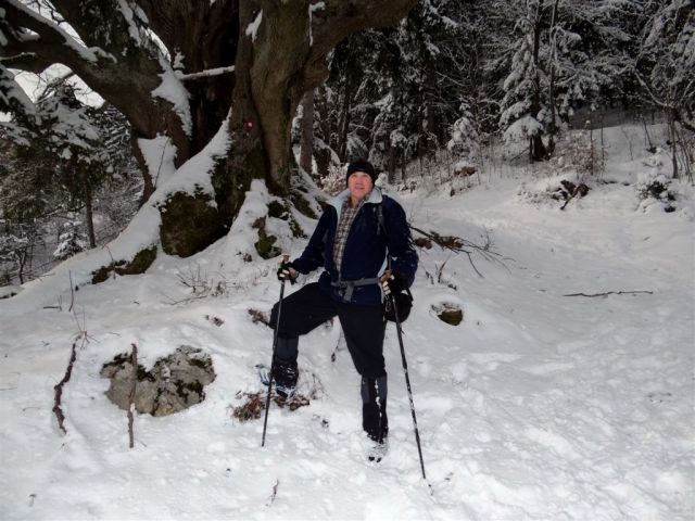ŽEKOVEC - GOLTE, 1573 m, 2013 - foto