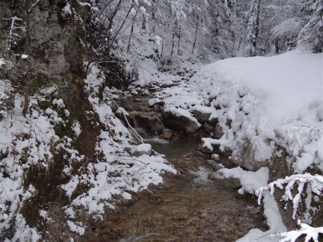 ŽEKOVEC - GOLTE, 1573 m, 2013 - foto