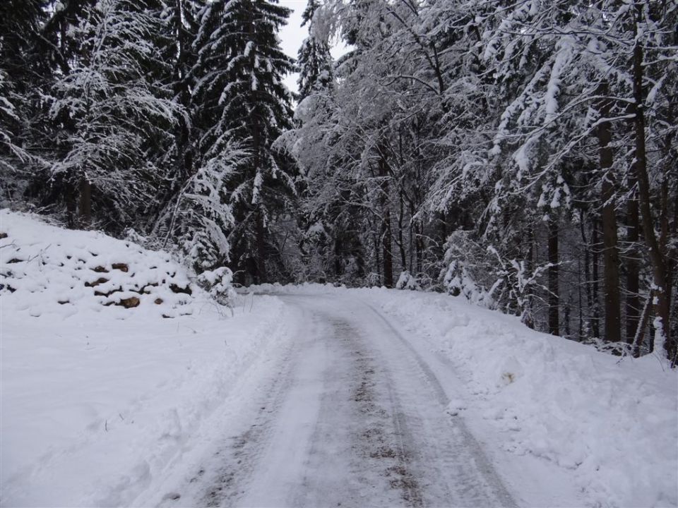 ŽEKOVEC - GOLTE, 1573 m, 2013 - foto povečava