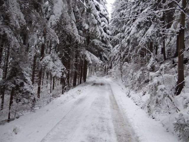 ŽEKOVEC - GOLTE, 1573 m, 2013 - foto