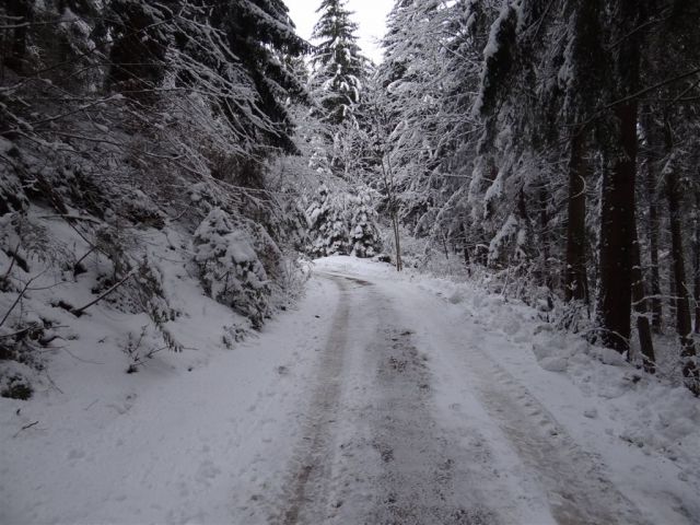 ŽEKOVEC - GOLTE, 1573 m, 2013 - foto