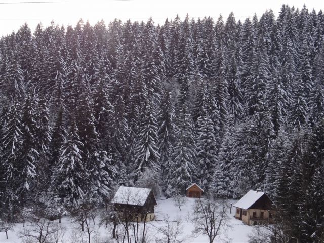 ŽEKOVEC - GOLTE, 1573 m, 2013 - foto
