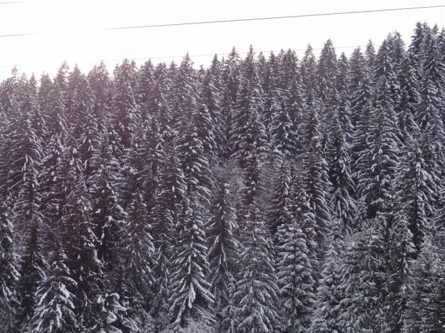 ŽEKOVEC - GOLTE, 1573 m, 2013 - foto