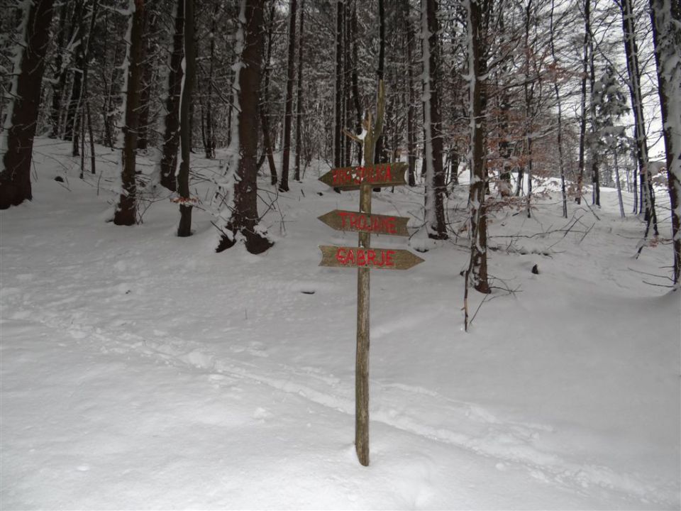 BLAGOVICA-ŠPILK-TROJANE - foto povečava