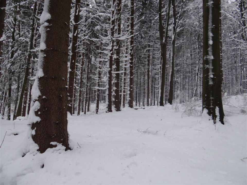 BLAGOVICA-ŠPILK-TROJANE - foto povečava