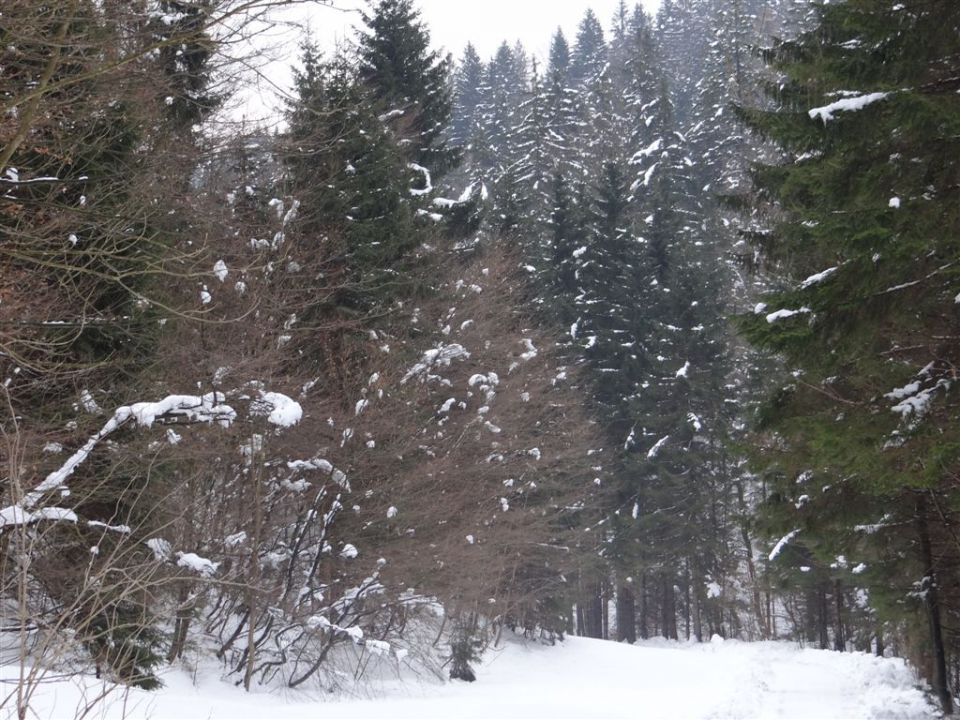 BLAGOVICA-ŠPILK-TROJANE - foto povečava