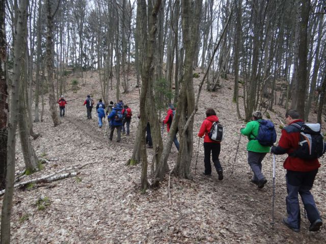 LIMBARSKA GORA, 773 m, 2013 - foto