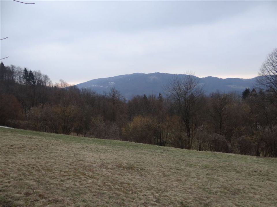 LIMBARSKA GORA, 773 m, 2013 - foto povečava