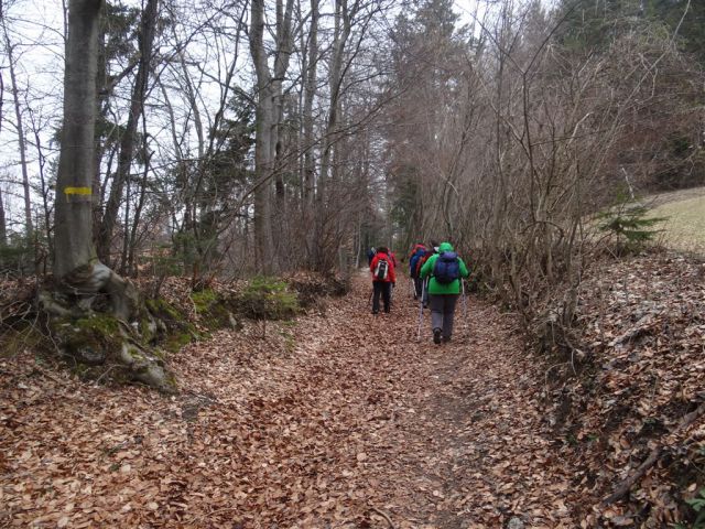 LIMBARSKA GORA, 773 m, 2013 - foto