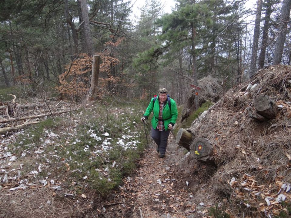 LIMBARSKA GORA, 773 m, 2013 - foto povečava