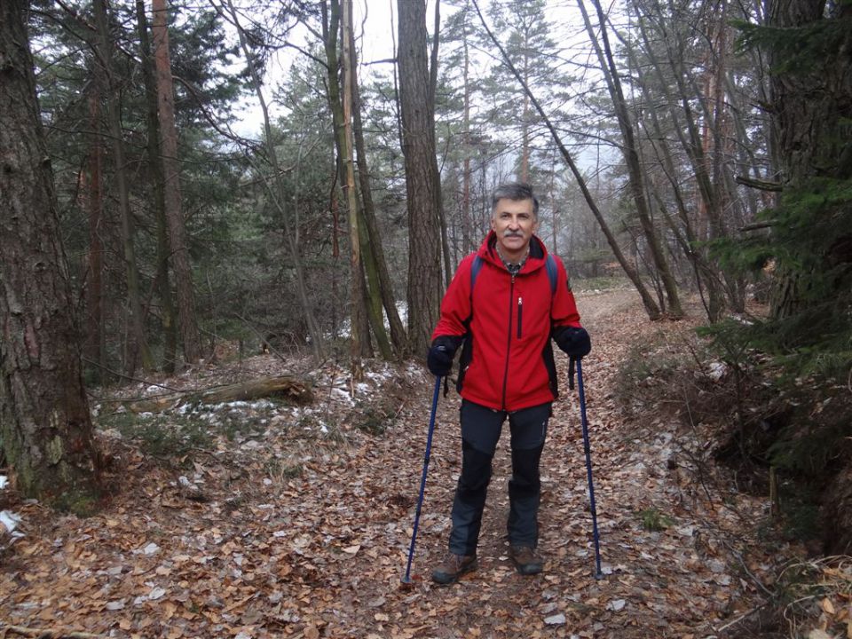 LIMBARSKA GORA, 773 m, 2013 - foto povečava