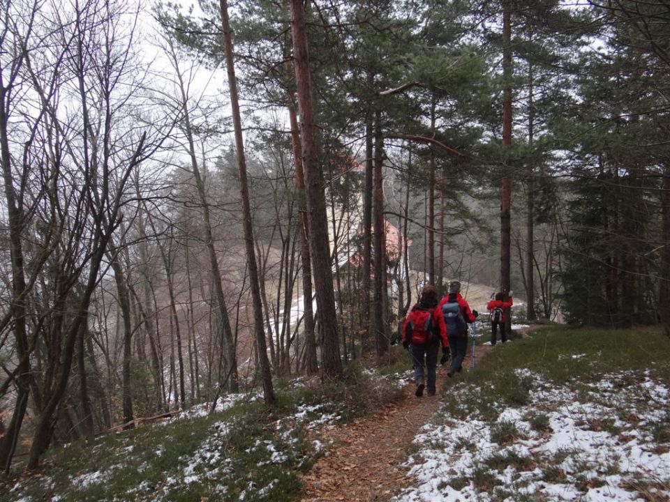 LIMBARSKA GORA, 773 m, 2013 - foto povečava