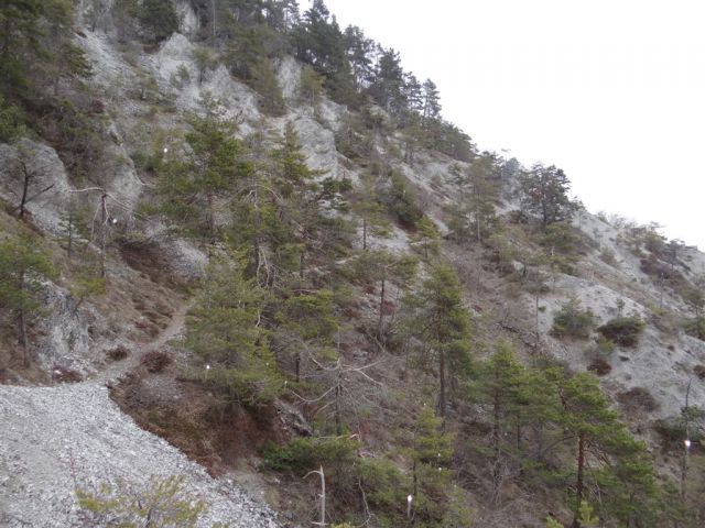 LIMBARSKA GORA, 773 m, 2013 - foto