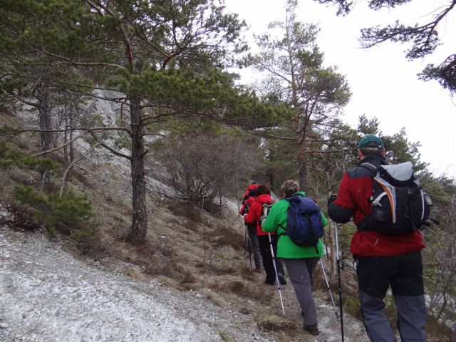 LIMBARSKA GORA, 773 m, 2013 - foto