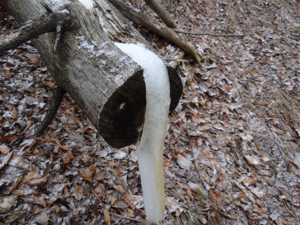 LIMBARSKA GORA, 773 m, 2013 - foto povečava