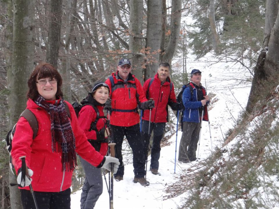 LIMBARSKA GORA, 773 m, 2013 - foto povečava