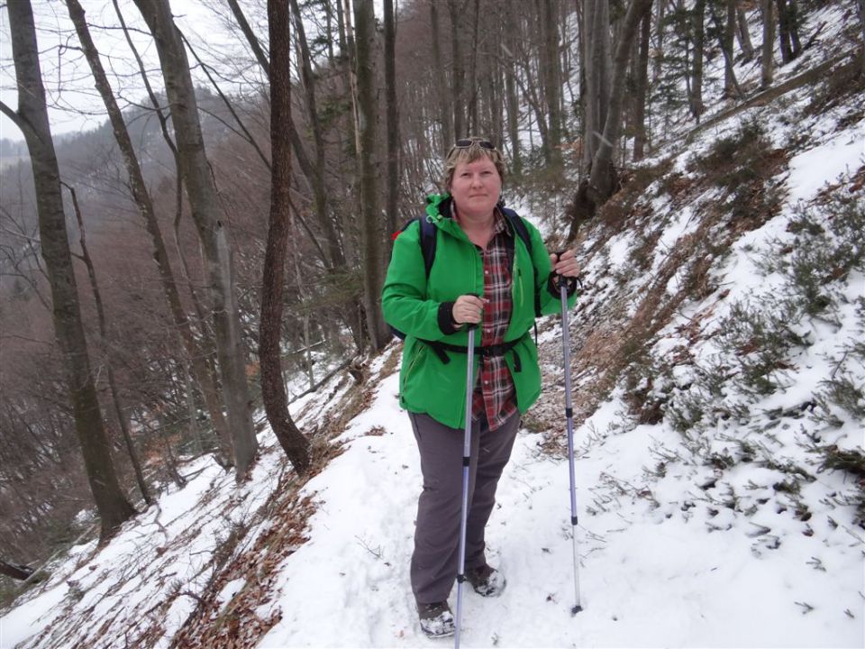 LIMBARSKA GORA, 773 m, 2013 - foto povečava