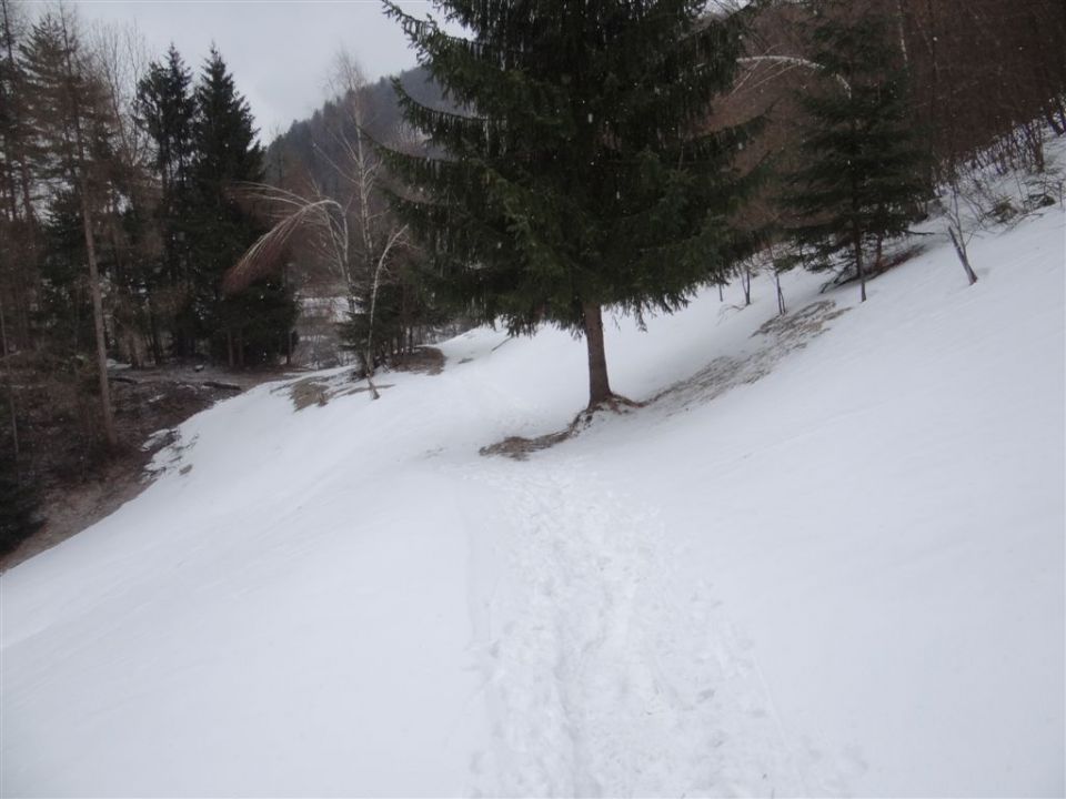 LIMBARSKA GORA, 773 m, 2013 - foto povečava