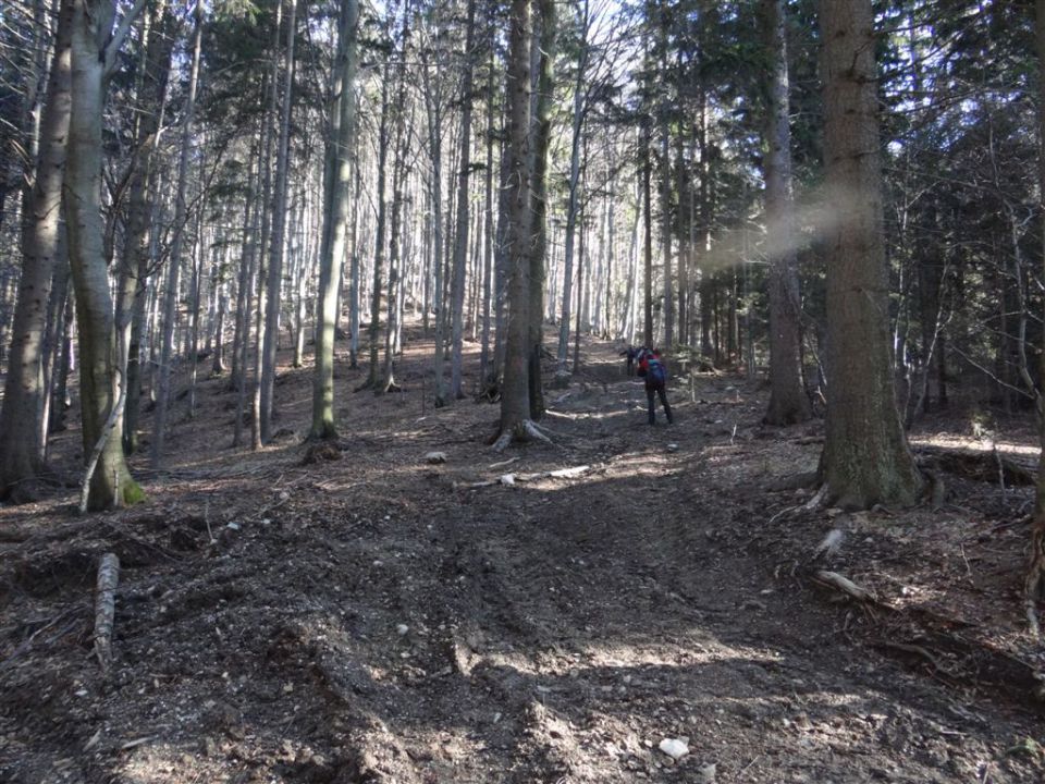 MENINA PLANINA in VIVODNIK, 1508m - foto povečava