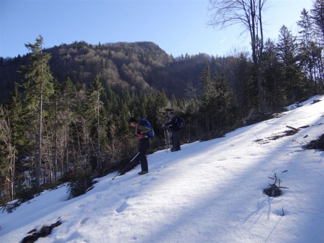 MENINA PLANINA in VIVODNIK, 1508m - foto