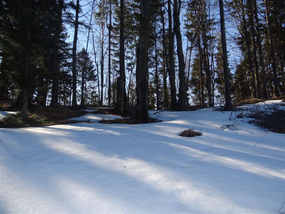 MENINA PLANINA in VIVODNIK, 1508m - foto povečava