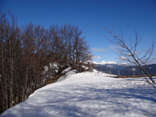 MENINA PLANINA in VIVODNIK, 1508m - foto