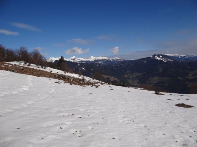 MENINA PLANINA in VIVODNIK, 1508m - foto