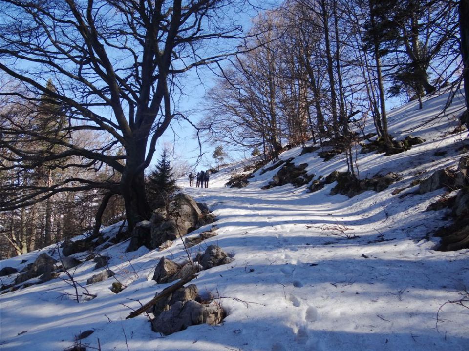 MENINA PLANINA in VIVODNIK, 1508m - foto povečava