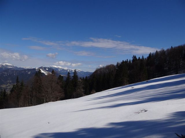 MENINA PLANINA in VIVODNIK, 1508m - foto