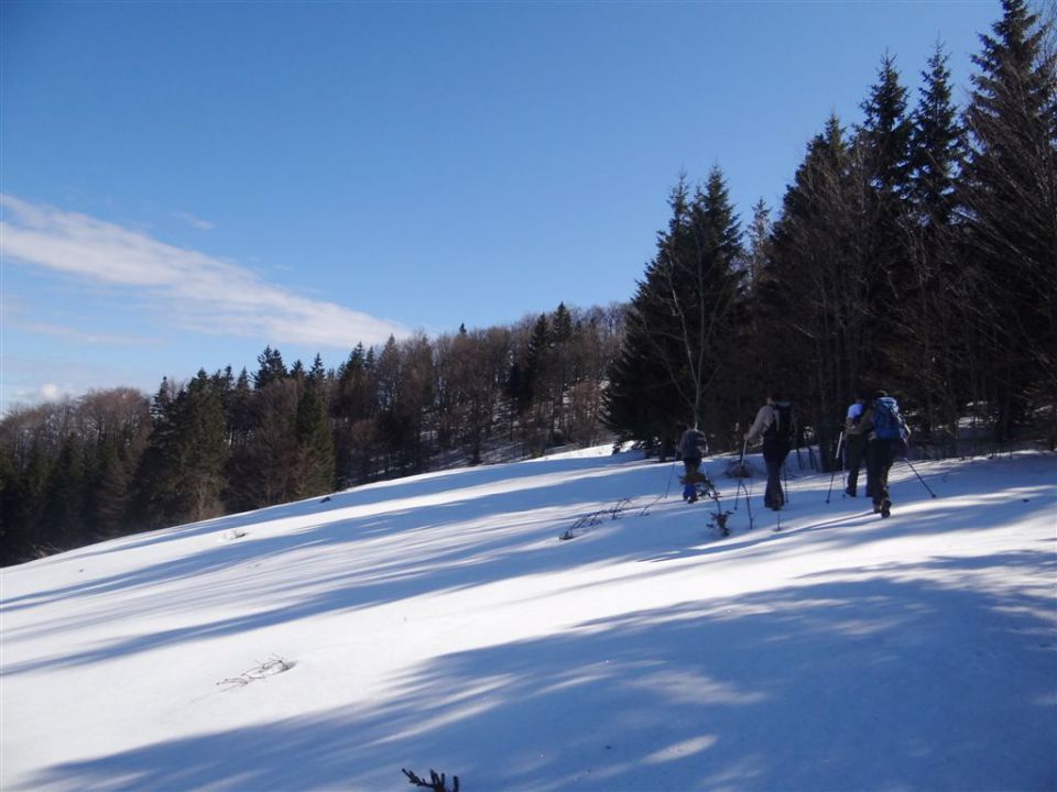 MENINA PLANINA in VIVODNIK, 1508m - foto povečava