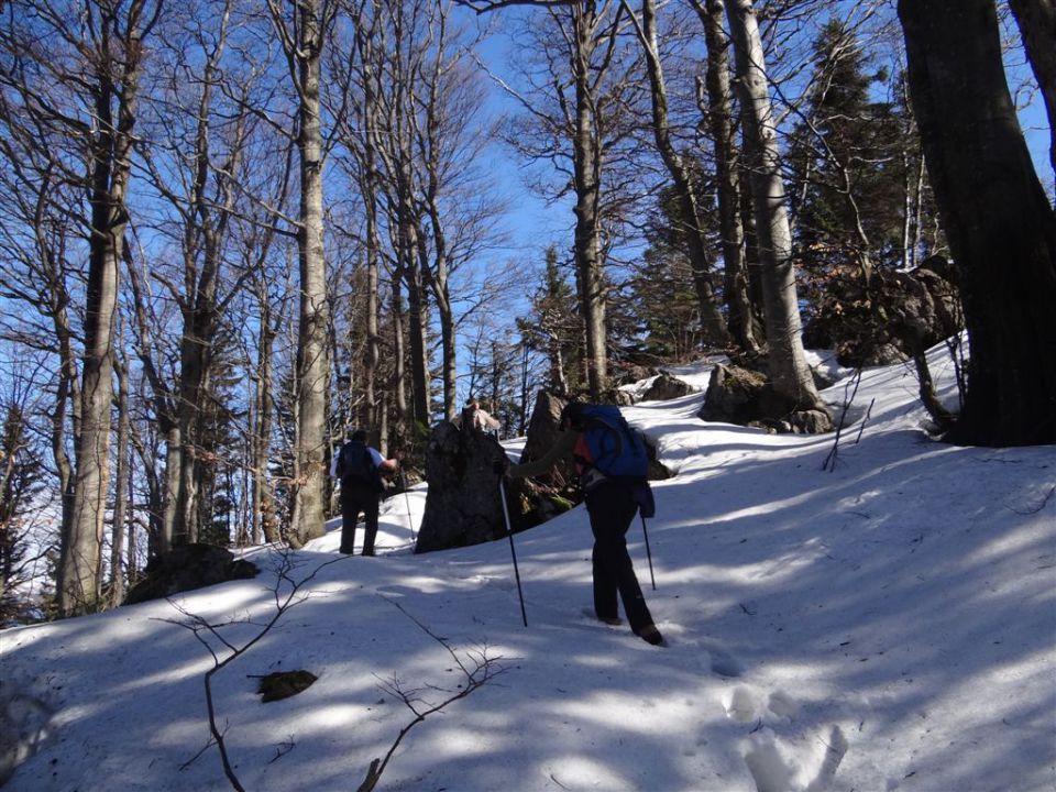 MENINA PLANINA in VIVODNIK, 1508m - foto povečava