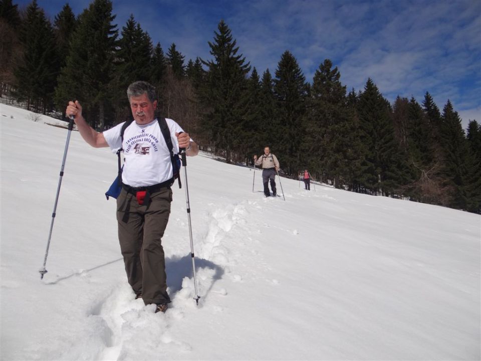 MENINA PLANINA in VIVODNIK, 1508m - foto povečava