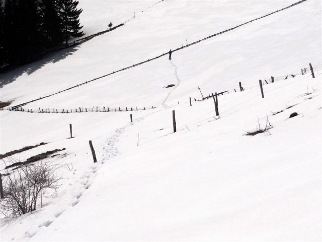 MENINA PLANINA in VIVODNIK, 1508m - foto