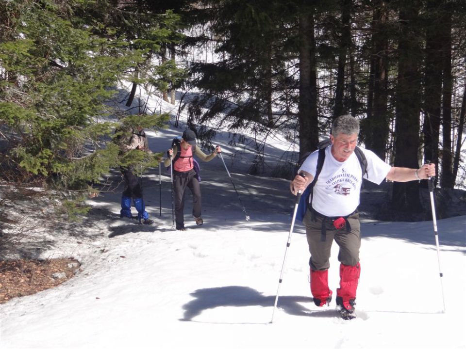 MENINA PLANINA in VIVODNIK, 1508m - foto povečava