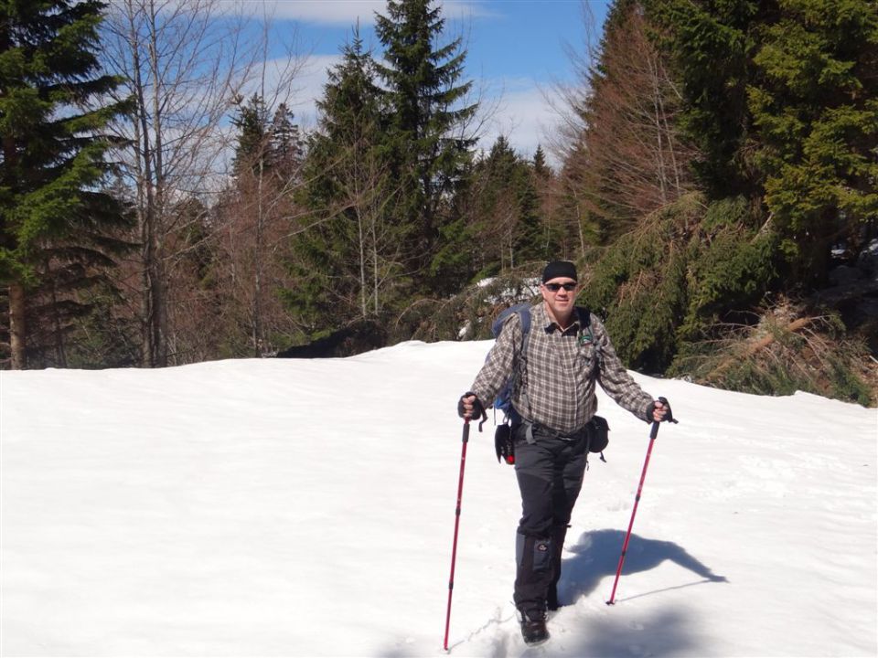 MENINA PLANINA in VIVODNIK, 1508m - foto povečava