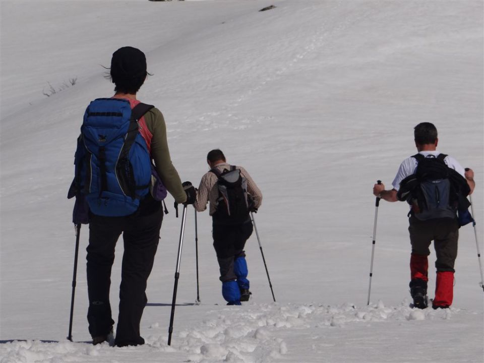 MENINA PLANINA in VIVODNIK, 1508m - foto povečava