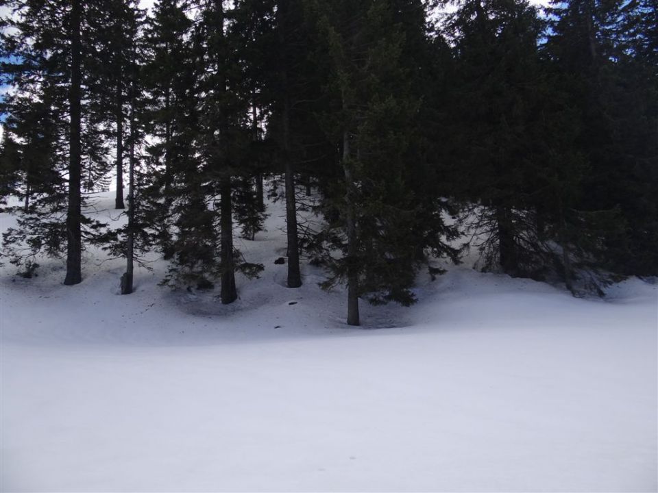 MENINA PLANINA in VIVODNIK, 1508m - foto povečava