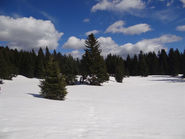 MENINA PLANINA in VIVODNIK, 1508m - foto