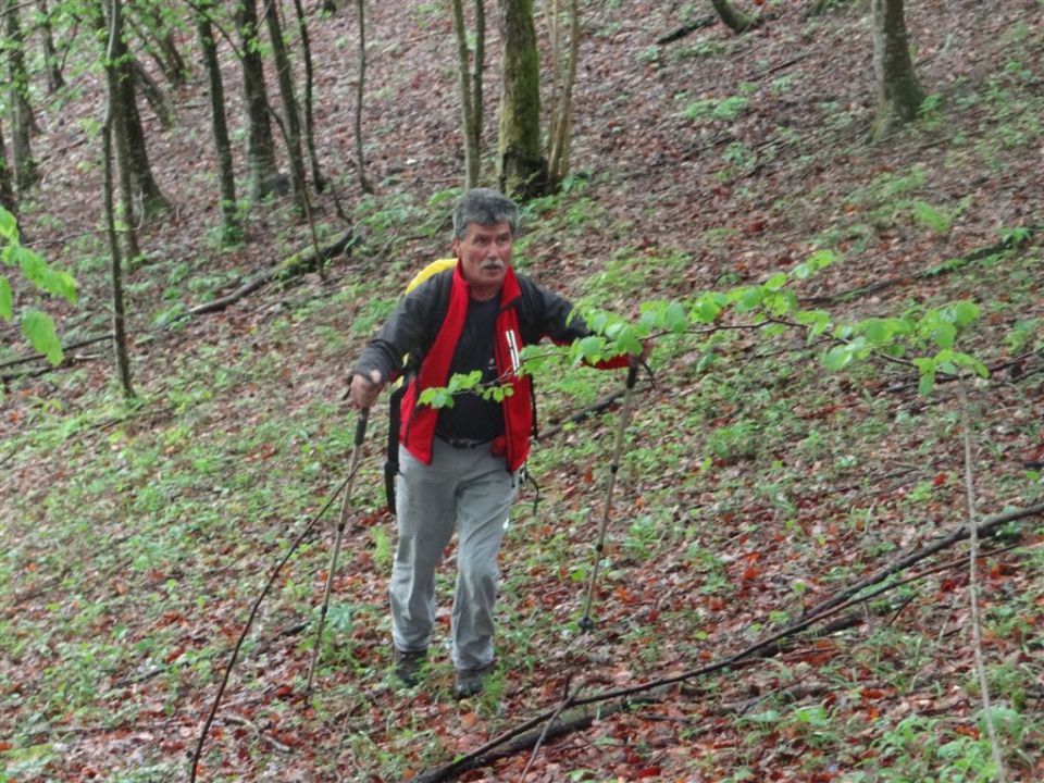 BOROVSKA GORA, 28.4.2013 - foto povečava