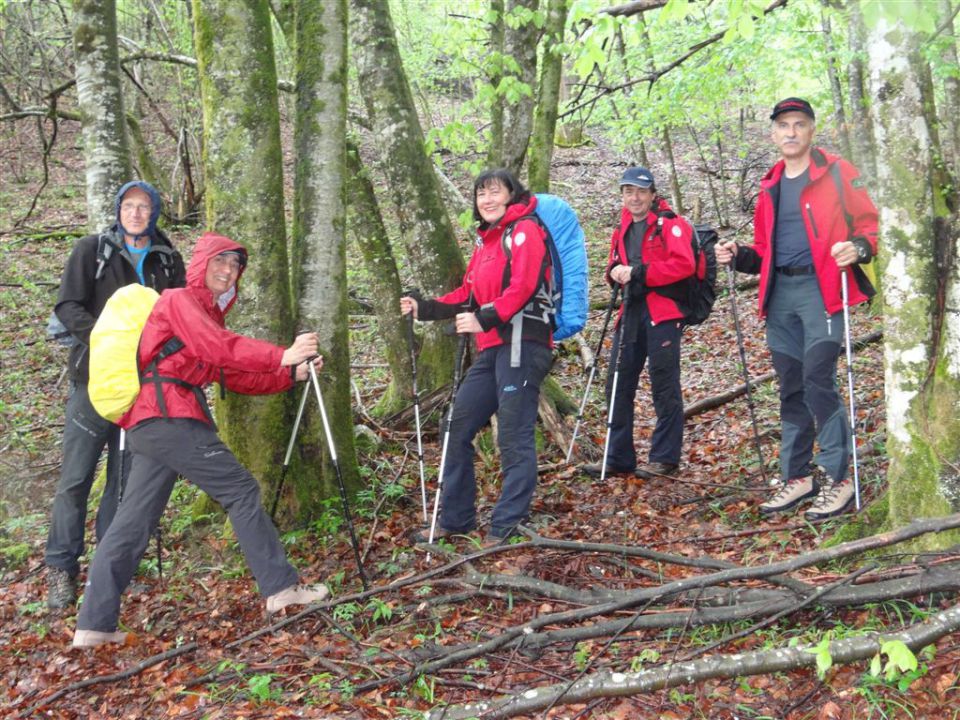 BOROVSKA GORA, 28.4.2013 - foto povečava