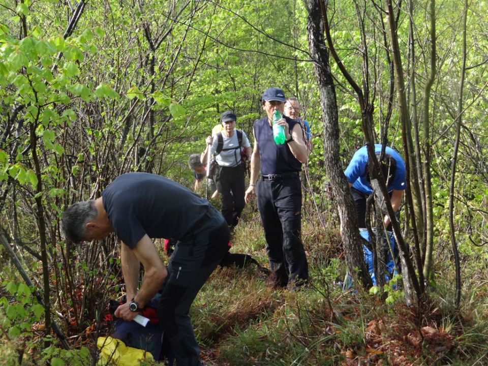 BOROVSKA GORA, 28.4.2013 - foto povečava