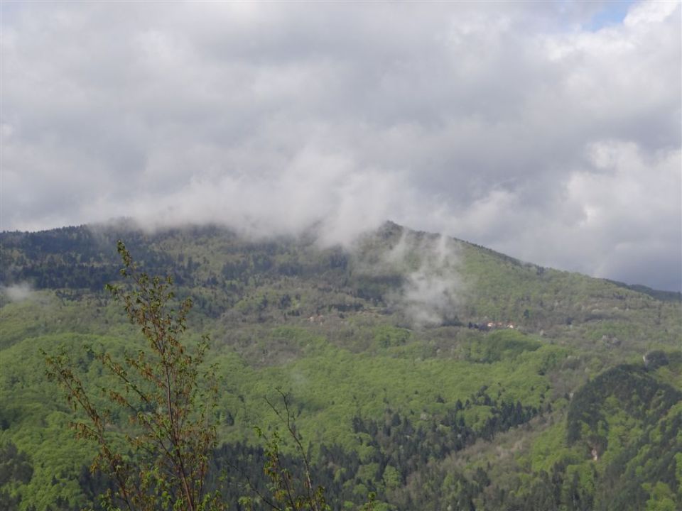 BOROVSKA GORA, 28.4.2013 - foto povečava