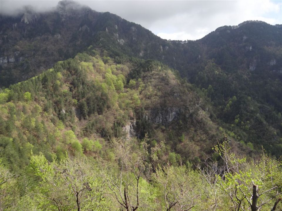 BOROVSKA GORA, 28.4.2013 - foto povečava